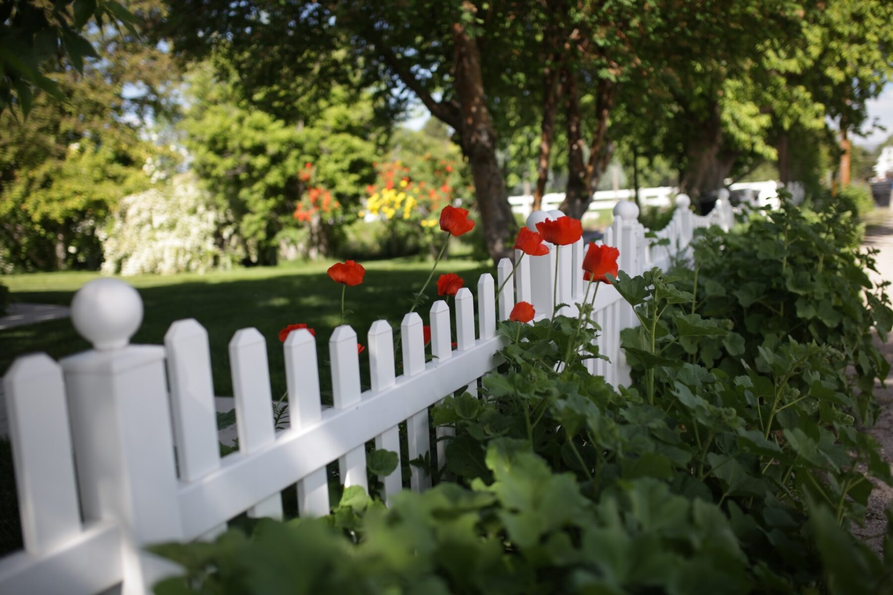 Read more about the article Benefits of Vinyl Fencing Over Other Materials